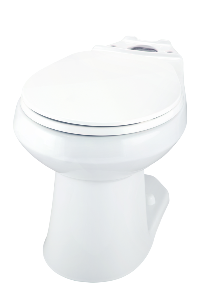 primary_image d0057db5-390a-4d56-a603-54aafaf5ebc1.jpeg