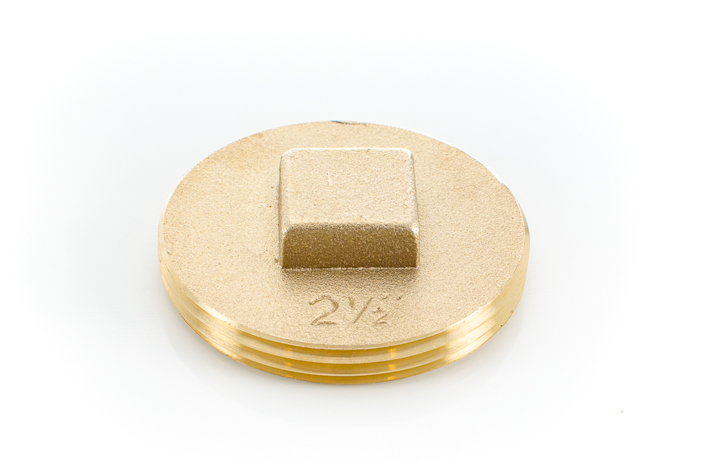 primary_image 1848.jpg