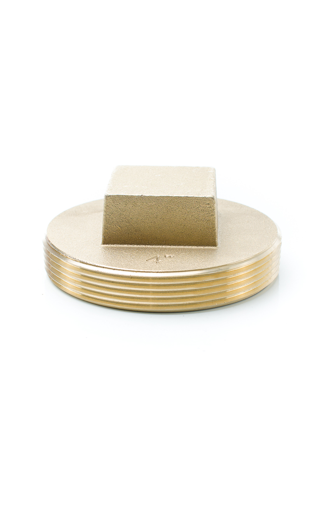 primary_image 1863.jpg