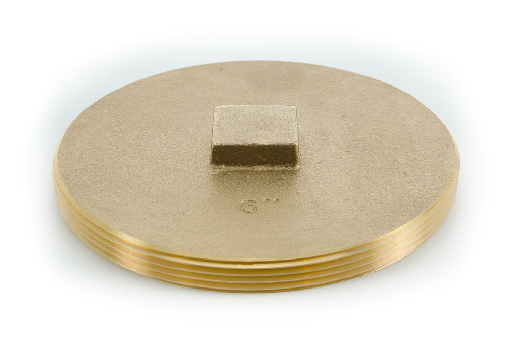 primary_image 1876.jpg